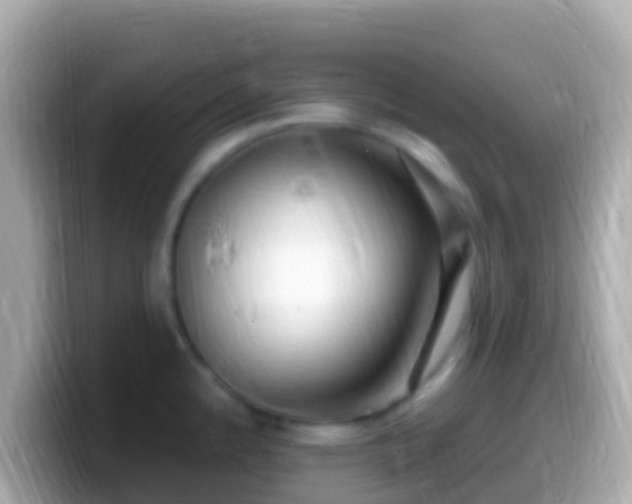 X0000099581192200805231544
