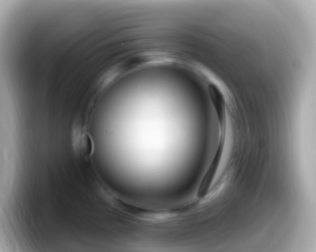 X0000099581193200805231544