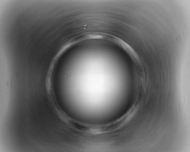 X0000099581194200805231544