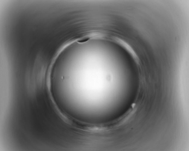 X0000099581195200805231544