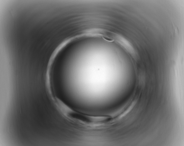 X0000099581196200805231544