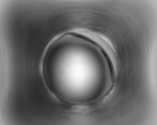 X0000099581197200805231544