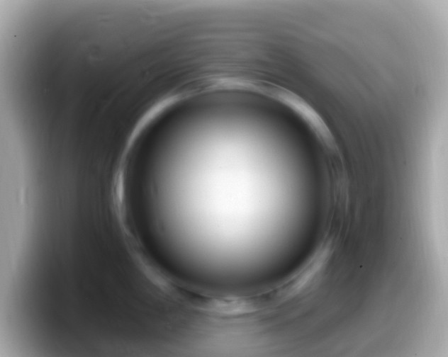 X0000099581198200805231544