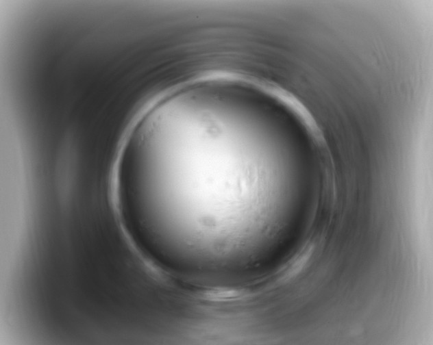 X0000099581199200805231544