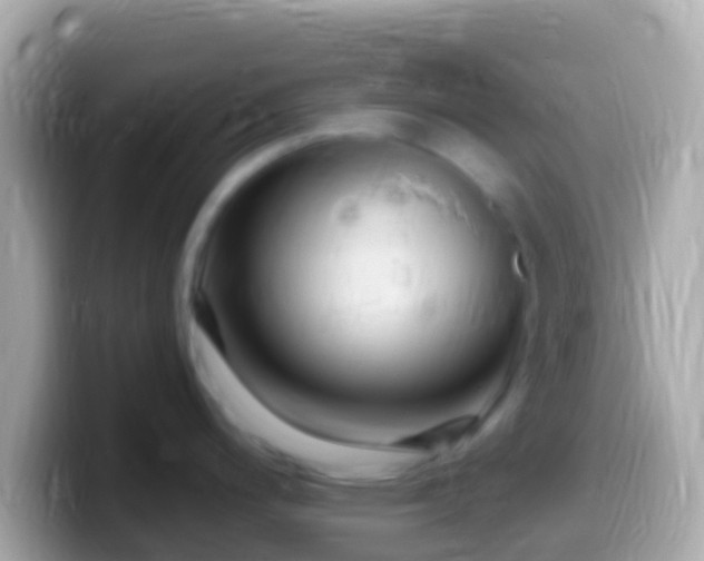 X0000099581200200805231544