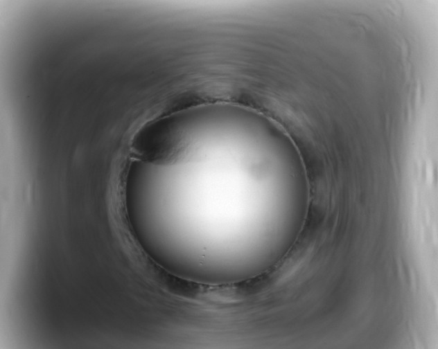 X0000099581201200805231544