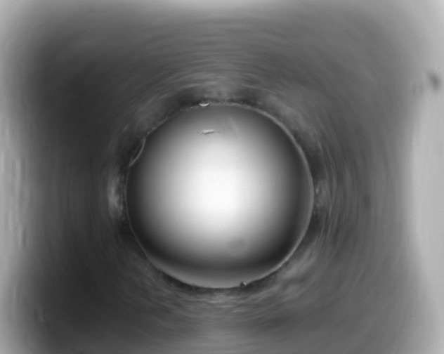 X0000099581202200805231544