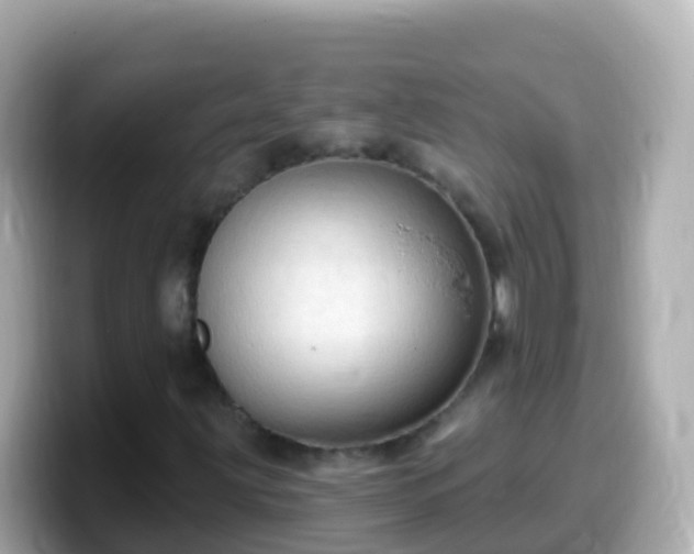 X0000099581203200805231544