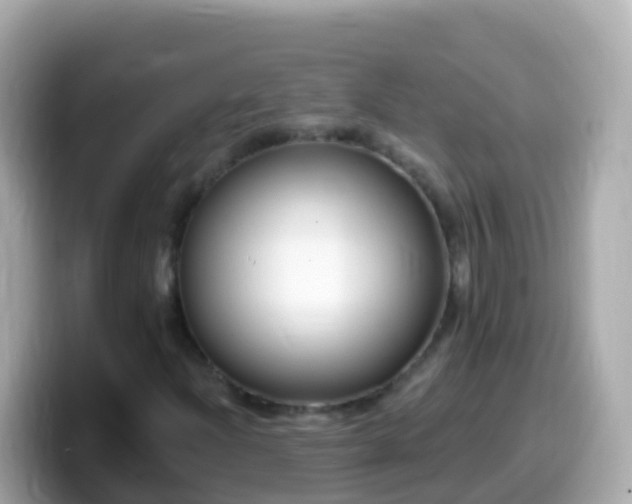 X0000099581204200805231544