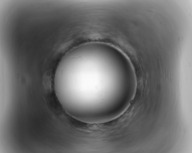 X0000099581205200805231544
