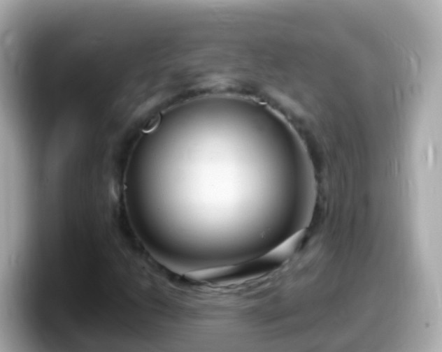 X0000099581206200805231544