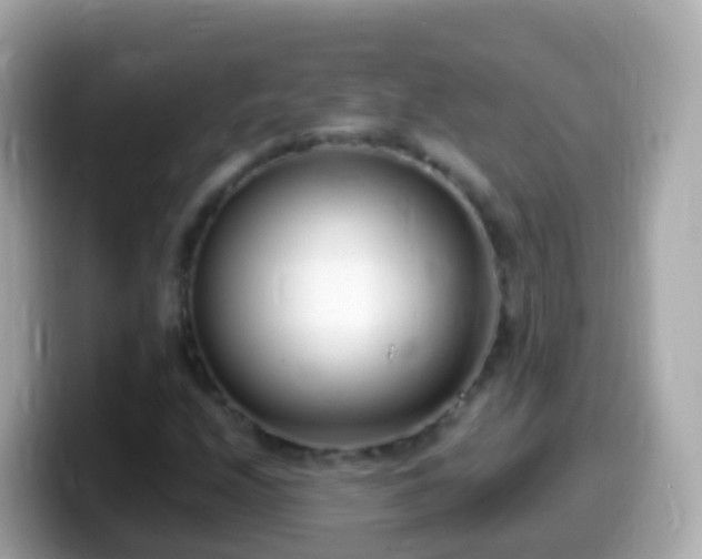 X0000099581208200805231544