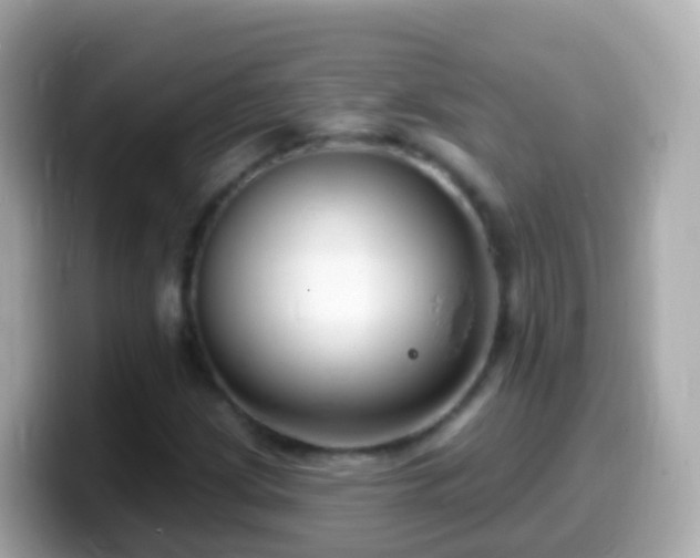 X0000099581209200805231544