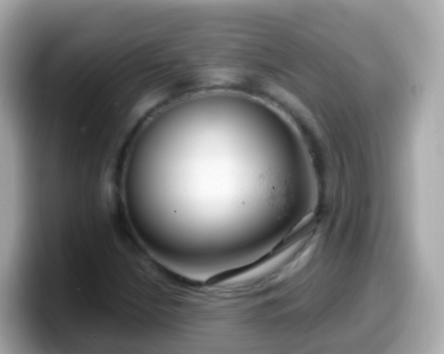 X0000099581210200805231544