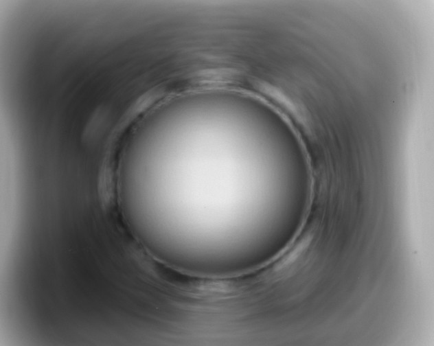 X0000099581211200805231544