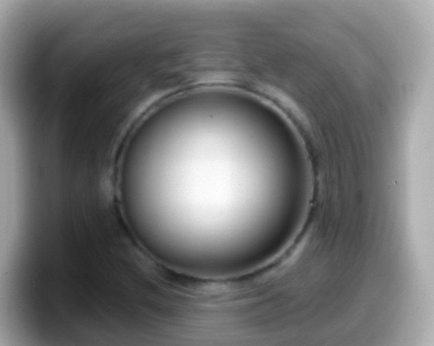X0000099581212200805231544