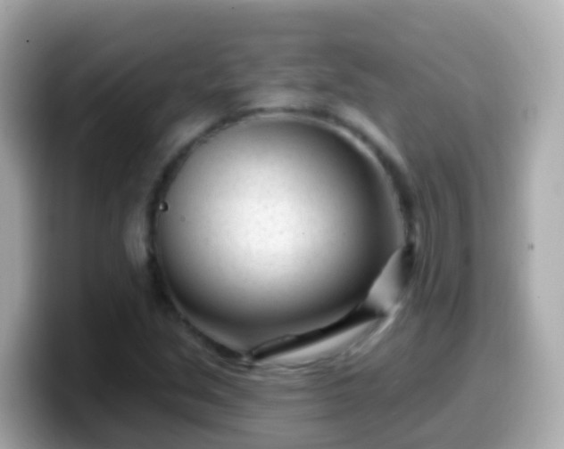 X0000099581213200805231544