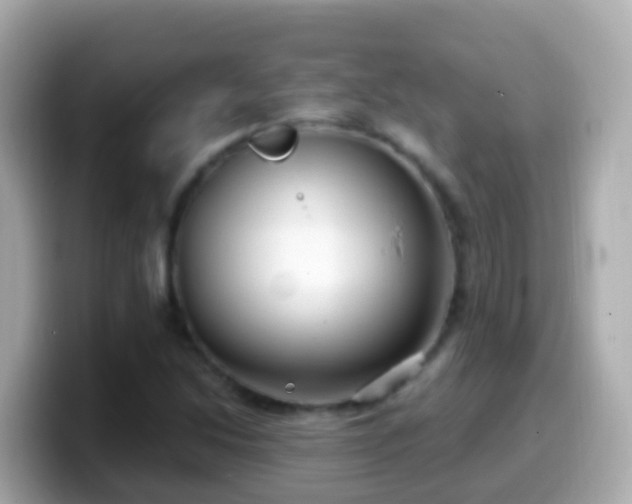 X0000099581214200805231544
