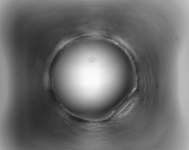 X0000099581215200805231544