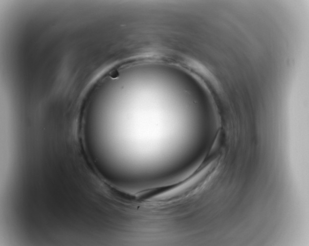 X0000099581216200805231544
