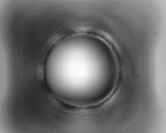 X0000099581217200805231544
