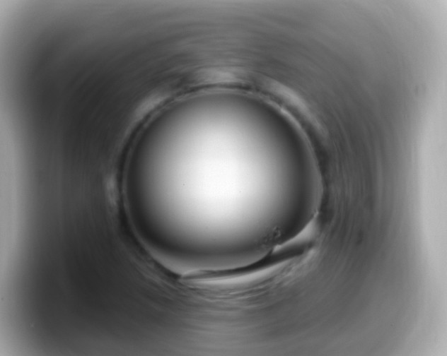 X0000099581218200805231544