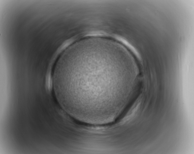X0000099581221200805231544