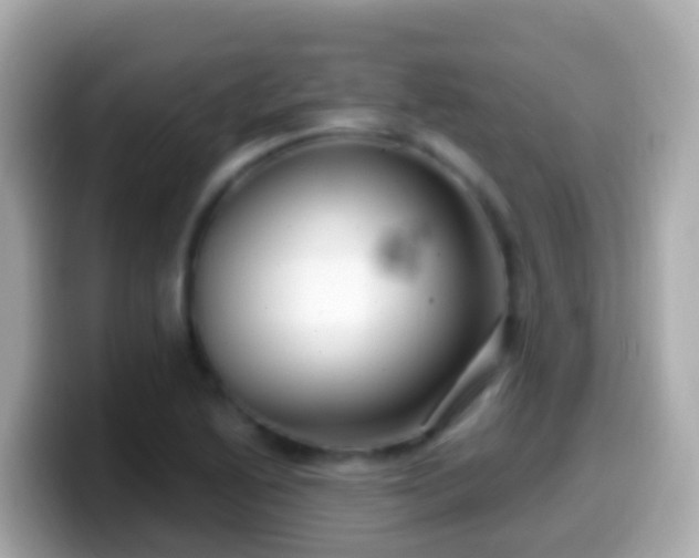 X0000099581222200805231544