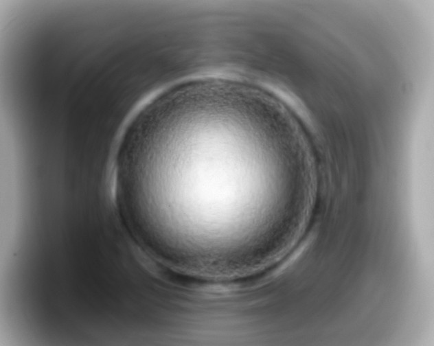 X0000099581224200805231544