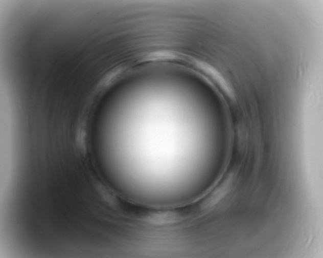 X0000099581225200805231544