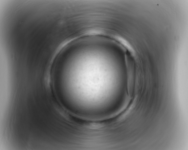 X0000099581226200805231544