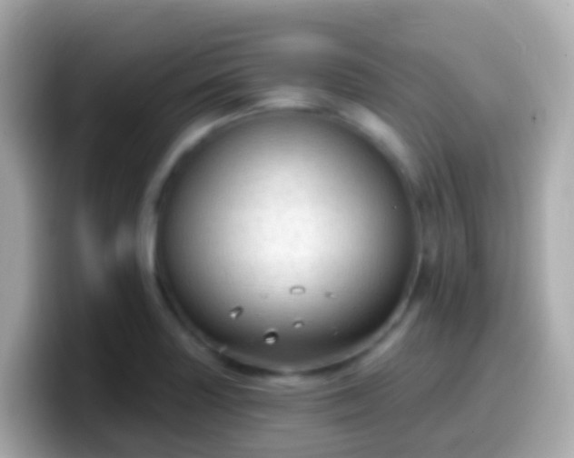 X0000099581227200805231544