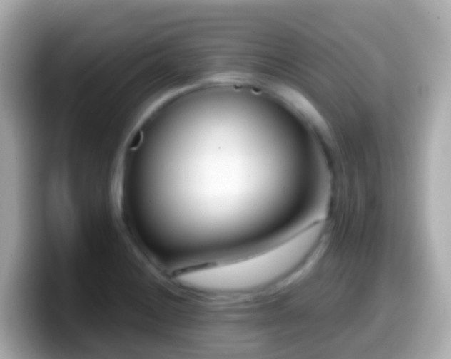 X0000099581228200805231544
