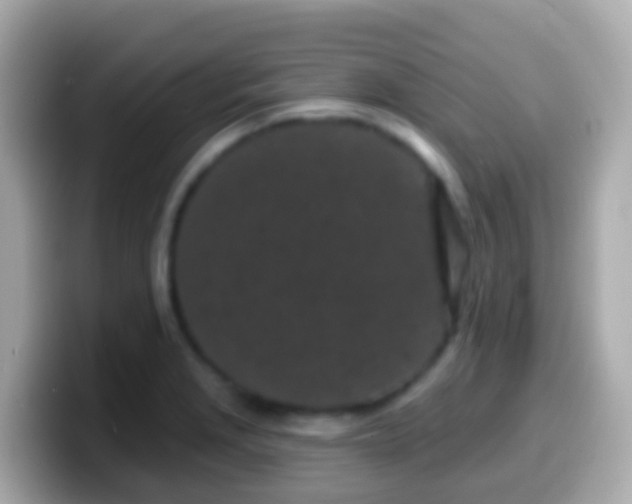 X0000099581229200805231544