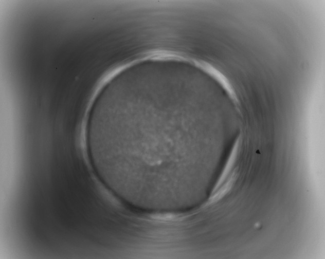 X0000099581231200805231544