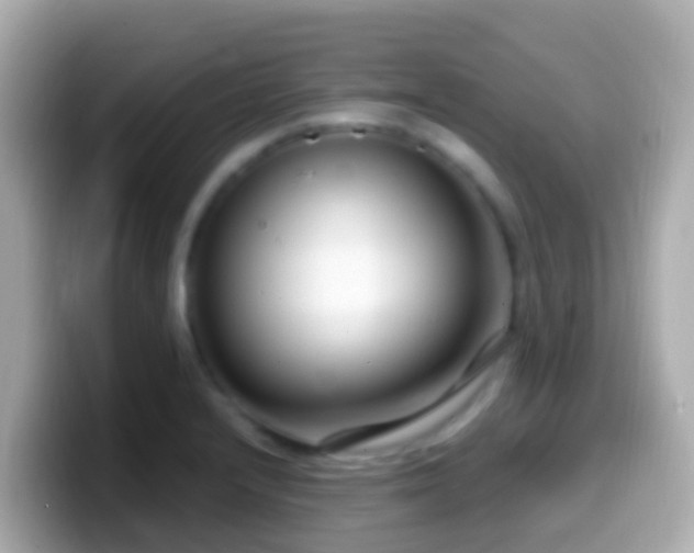 X0000099581232200805231544
