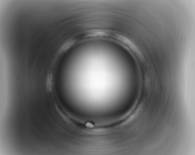 X0000099581233200805231544