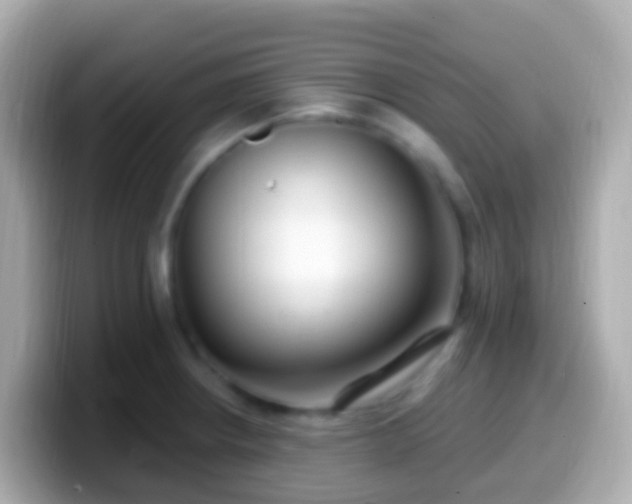 X0000099581234200805231544