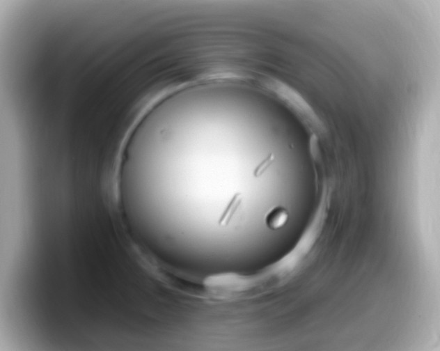 X0000099581236200805231544