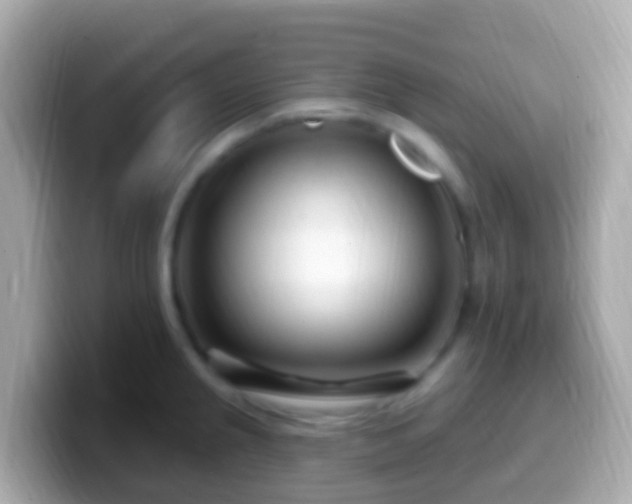 X0000099581237200805231544