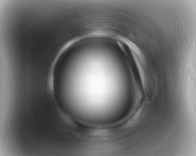 X0000099581238200805231544