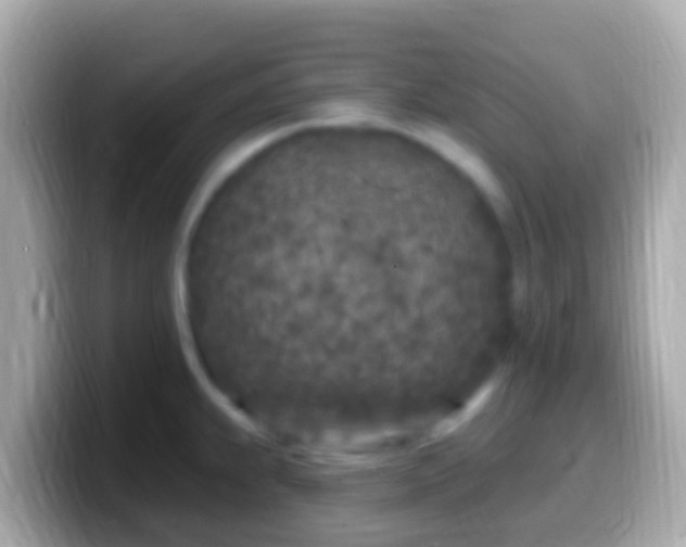 X0000099581239200805231544