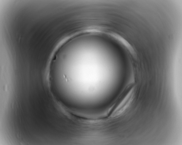 X0000099581240200805231544