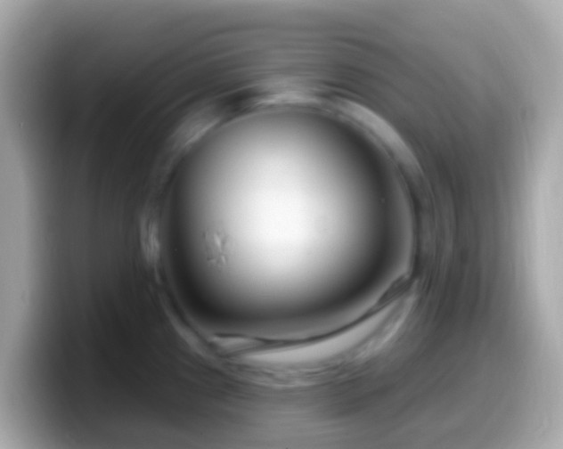 X0000099581241200805231544
