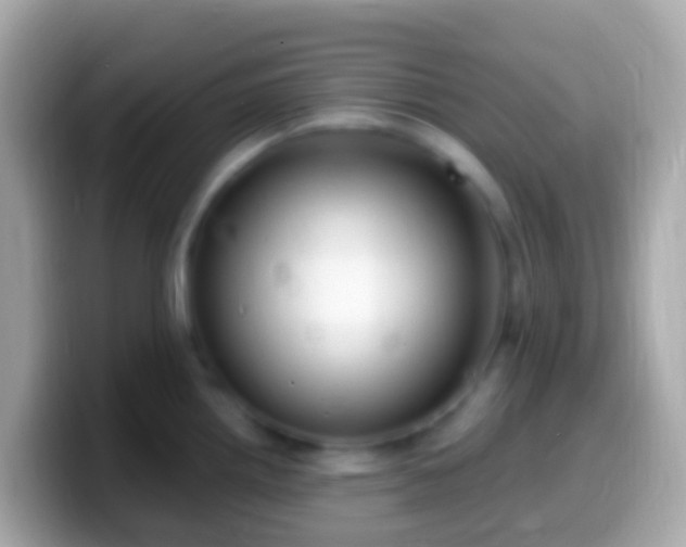 X0000099581242200805231544