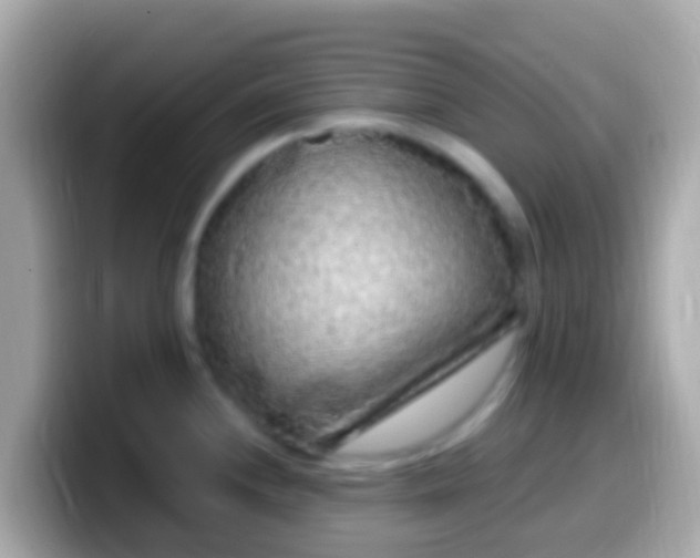 X0000099581244200805231544