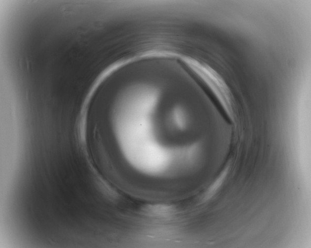 X0000099581246200805231544