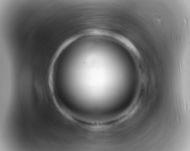 X0000099581247200805231544