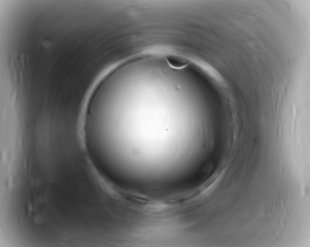 X0000099581248200805231544