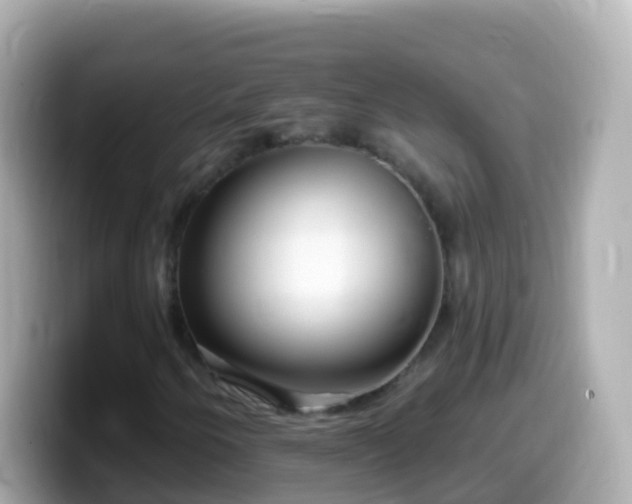 X0000099581250200805231544